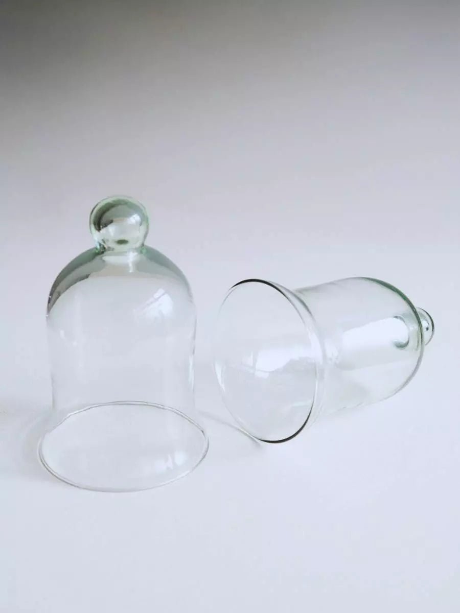 Campana de Cristal para Velas - 1109 Concept Decoración